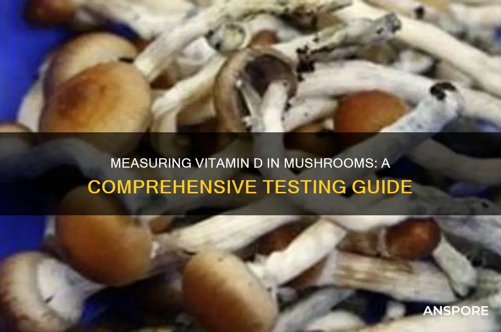 how to measure vit d levels in mushrooms