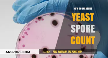 Mastering Yeast Spore Counting: Accurate Techniques for Optimal Results