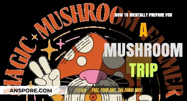 Mindful Mushroom Journey: Mental Preparation Tips for a Transformative Trip