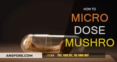 Microdosing Magic Mushrooms: A Beginner's Guide