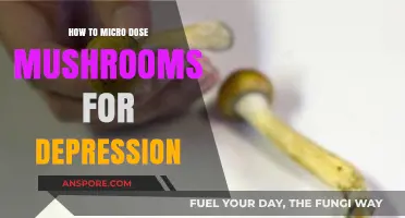 Microdosing Mushrooms for Depression: A Beginner's Guide to Healing
