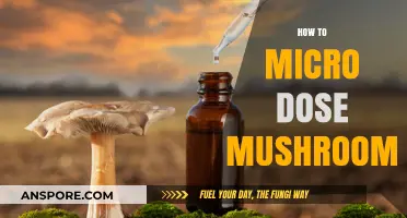 Microdosing Mushrooms: A Beginner's Guide to Safe Usage
