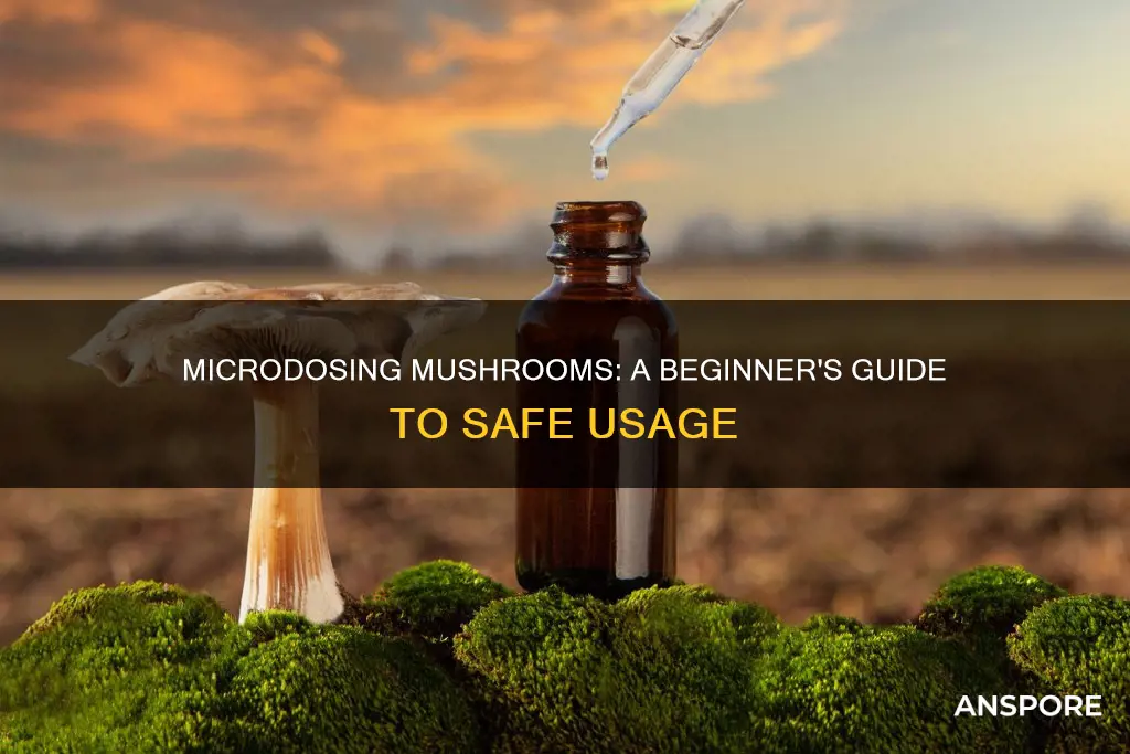 how to micro dose mushrooms