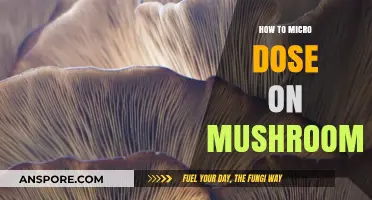 Microdosing Mushrooms: A Beginner's Guide to Subtle Psychedelic Benefits