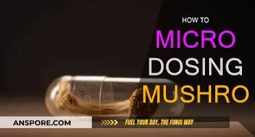 Microdosing Mushrooms: A Beginner's Guide to Safe Experimentation