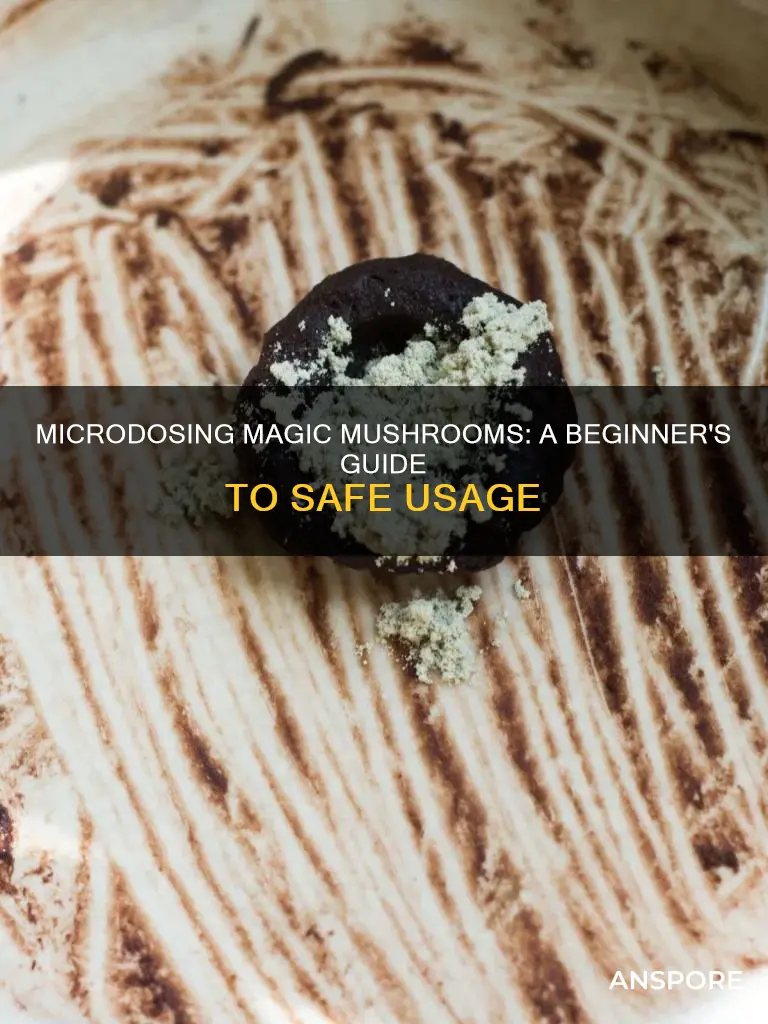 how to microdose dried mushrooms