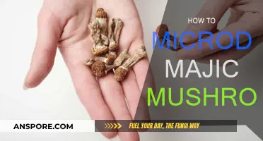 Microdosing Magic Mushrooms: A Beginner's Guide to Safe Usage