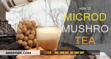 Microdosing Mushroom Tea: A Beginner's Guide