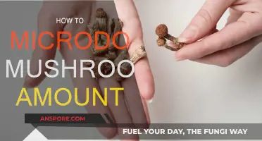 Microdosing Mushrooms: Finding Your Optimal Amount