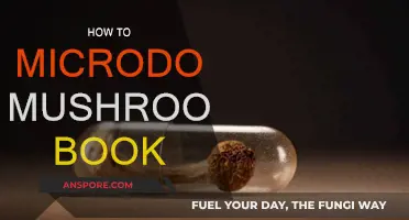 Microdosing Mushrooms: A Beginner's Guide to Safe Exploration