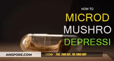 Microdosing Mushrooms: A Natural Remedy for Depression