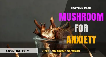 Microdosing Mushrooms for Anxiety: A Beginner's Guide to Relief