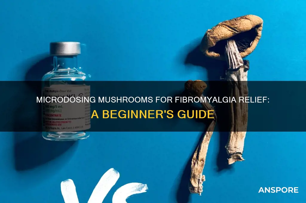 how to microdose mushrooms for fibromyalgia