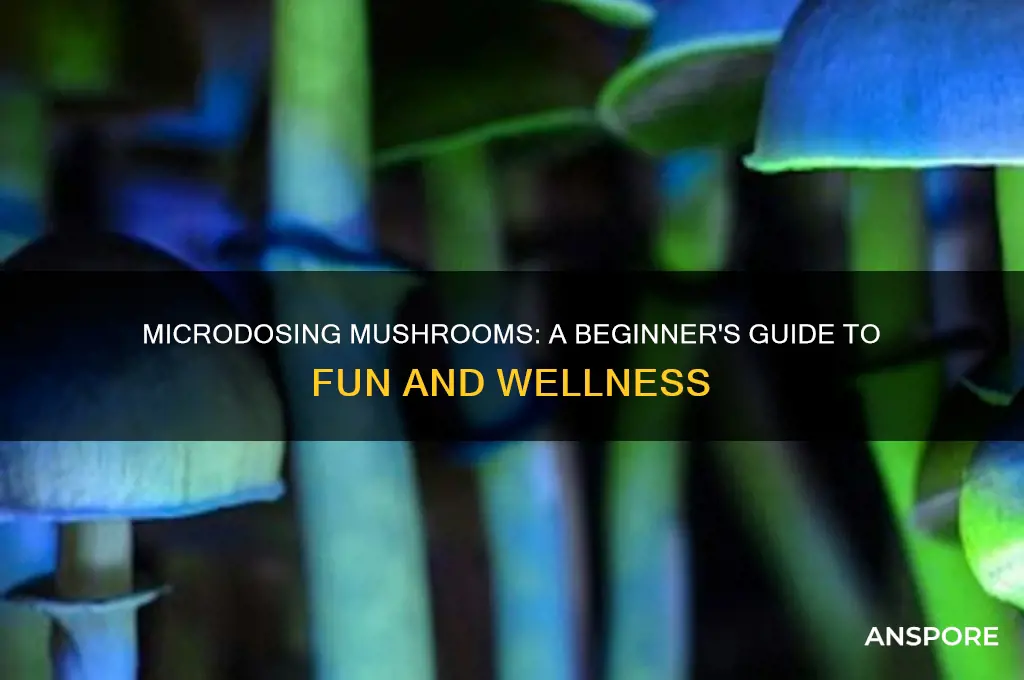 how to microdose mushrooms for fun