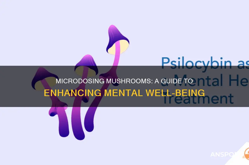 how to microdose mushrooms for mental health