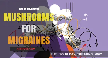 Microdosing Mushrooms for Migraine Relief: A Comprehensive Guide