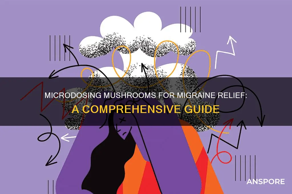 how to microdose mushrooms for migraines