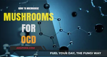 Microdosing Mushrooms for OCD: A Comprehensive Guide to Healing