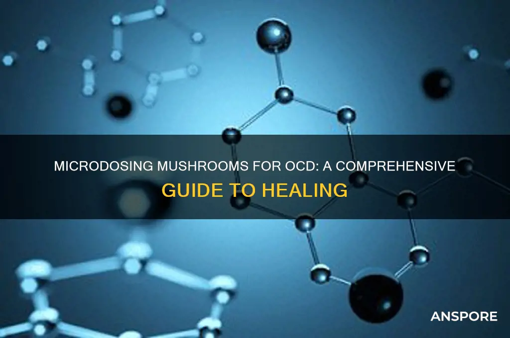 how to microdose mushrooms for ocd