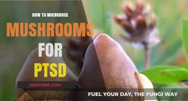 Microdosing Mushrooms for PTSD: A Guide to Healing and Recovery