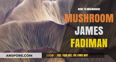 Microdosing Mushrooms: James Fadiman's Guide to Enhanced Well-Being