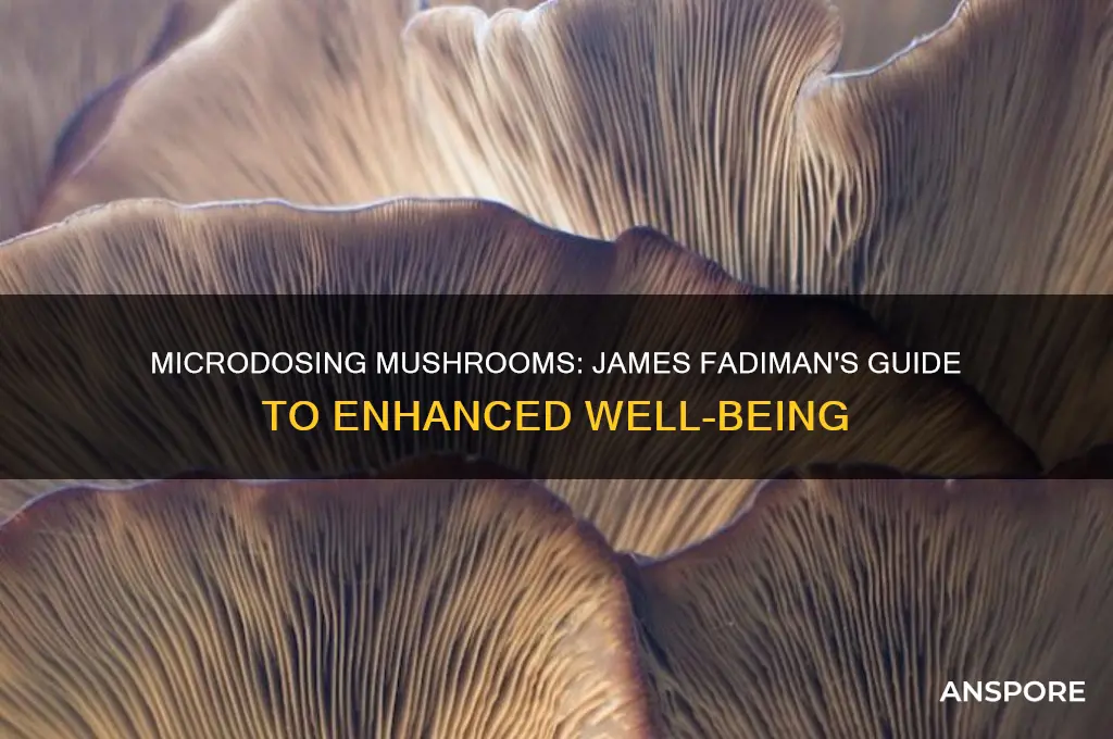 how to microdose mushrooms james fadiman