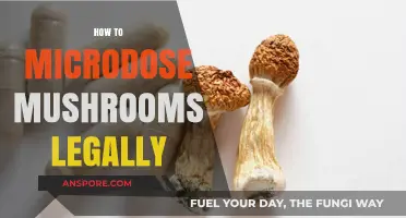 Legal Microdosing: Safely Exploring Mushroom Benefits Within the Law