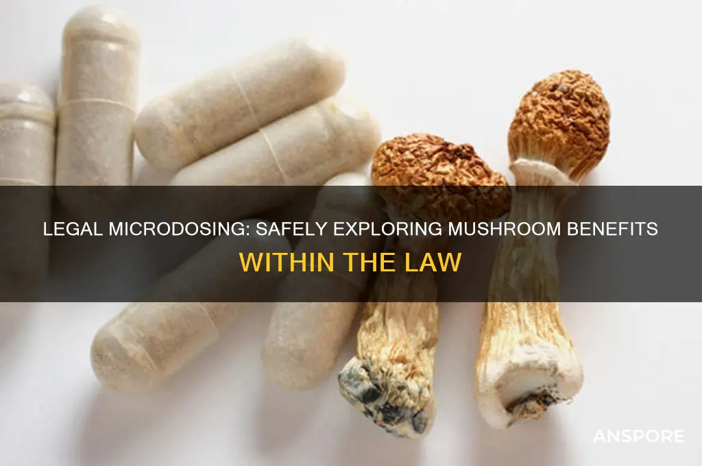 how to microdose mushrooms legally