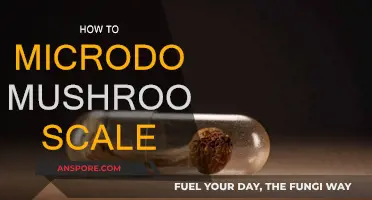 Microdosing Mushrooms: A Personal Journey to Self-Discovery