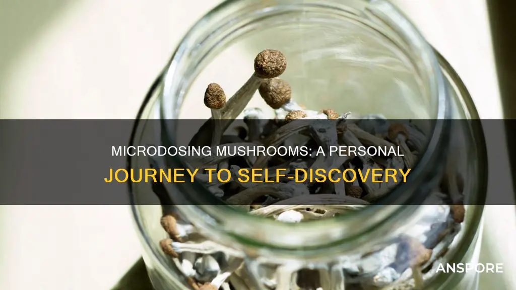 how to microdose mushrooms scale