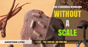 Microdosing Mushrooms Without a Scale: Simple, Accurate, and Safe Methods