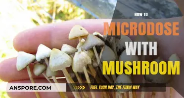 Microdosing Mushrooms: A Guide to Enhancing Your Mind