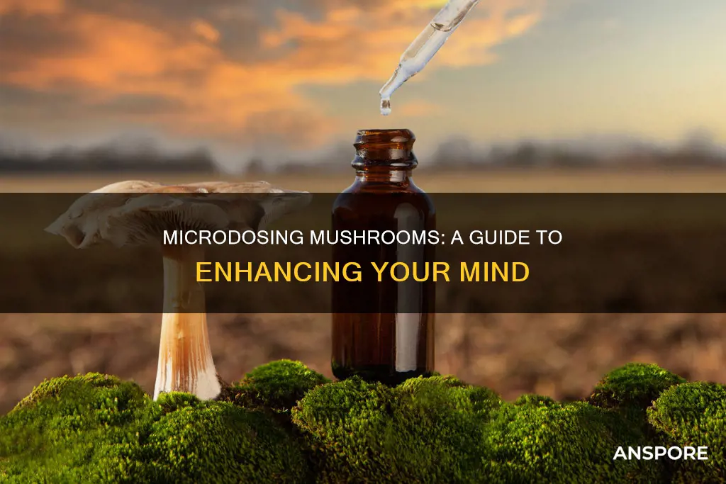 how to microdose with mushrooms