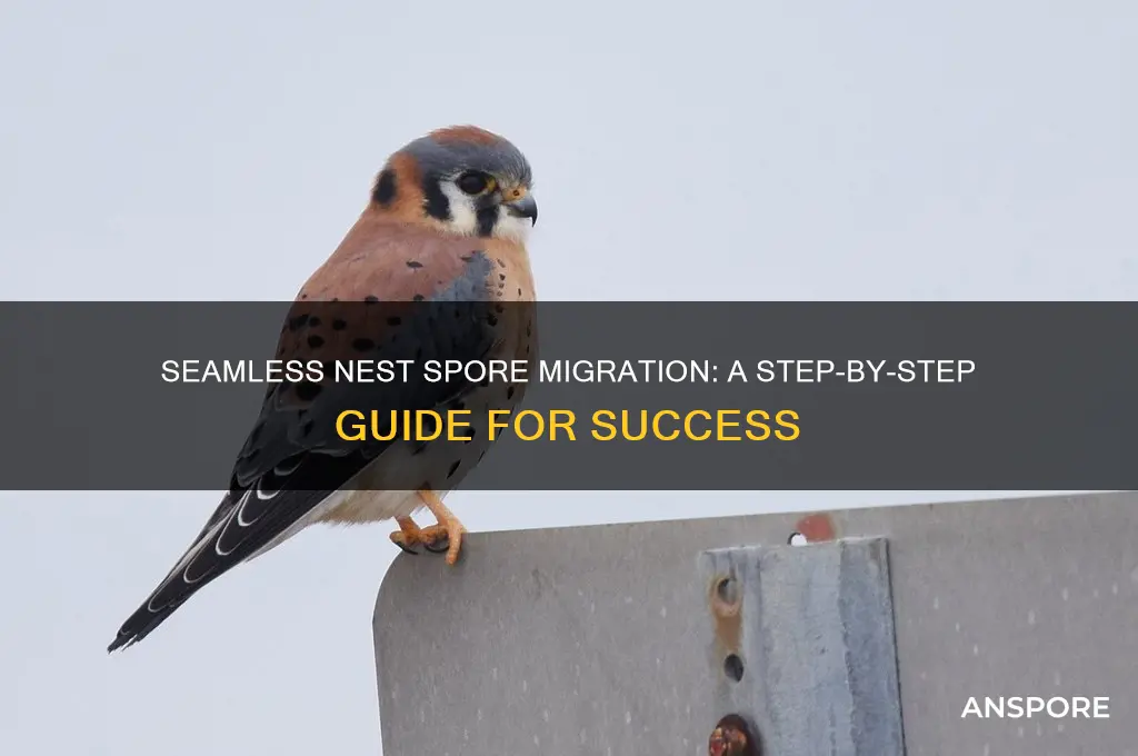 how to migrate to a new nest spore