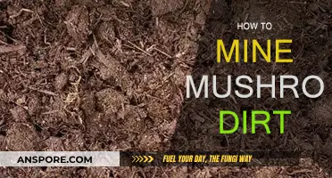 Harvesting Mushroom Dirt: A Step-by-Step Guide
