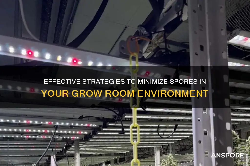 how to minimize spores in grow room