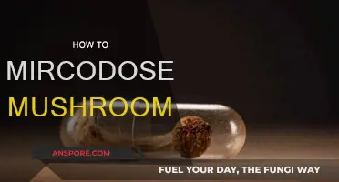Microdosing Mushrooms: A Beginner's Guide