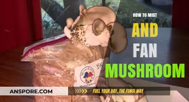 Mastering Mushroom Care: Effective Misting and Fanning Techniques for Optimal Growth