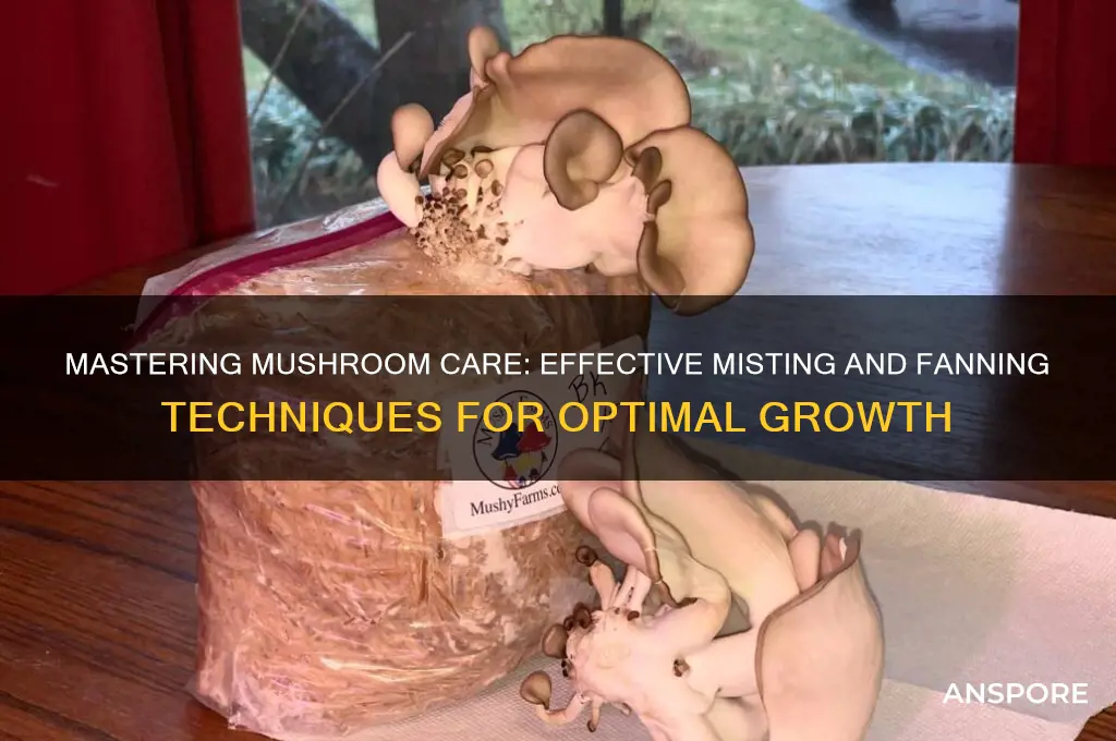 how to mist and fan mushrooms