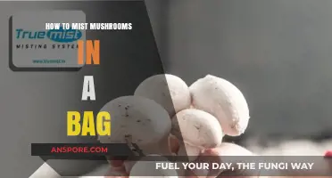 Mist Mushrooms Like a Pro: Simple Bag Misting Techniques
