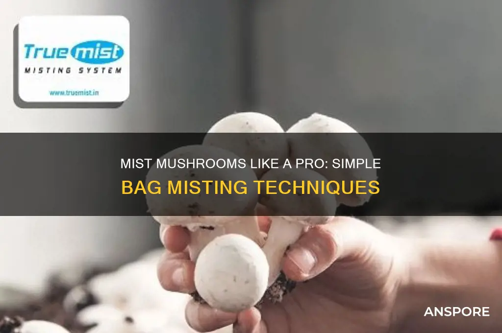 how to mist mushrooms in a bag