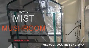 Mushroom Misting: A Guide to Properly Mist Your Shrooms