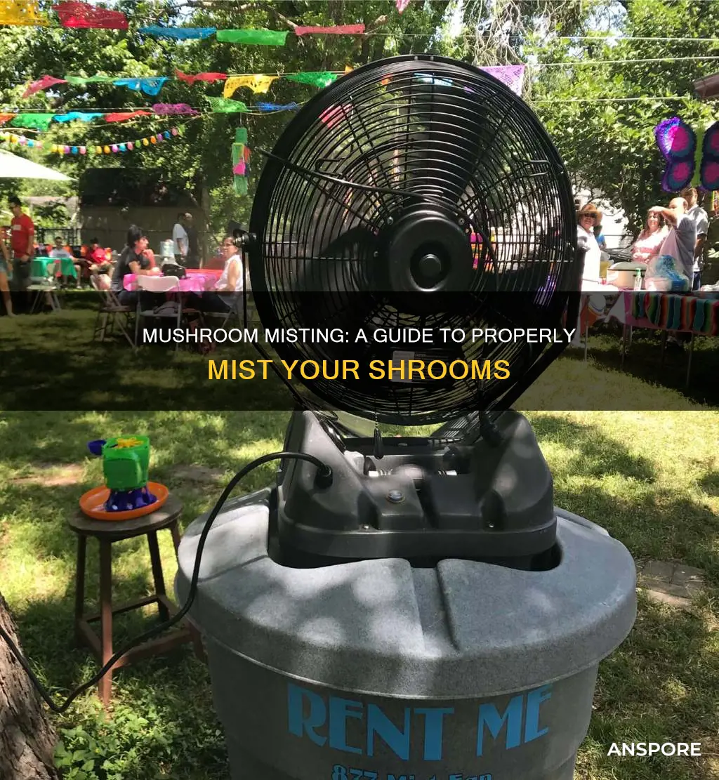 how to mist mushrooms