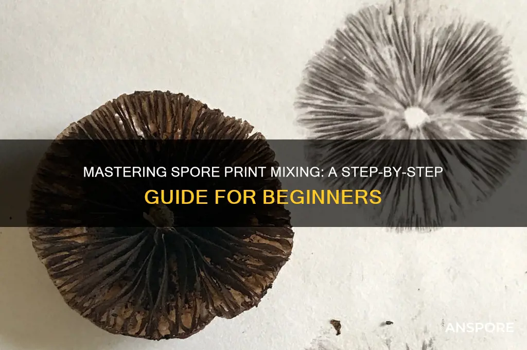 how to mix a spore print