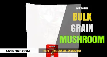 Mastering Bulk Grain Mushroom Mixing: A Step-by-Step Guide