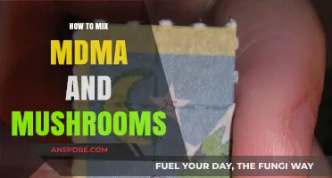 Exploring MDMA and Mushrooms: A Comprehensive Guide to Safe Mixing