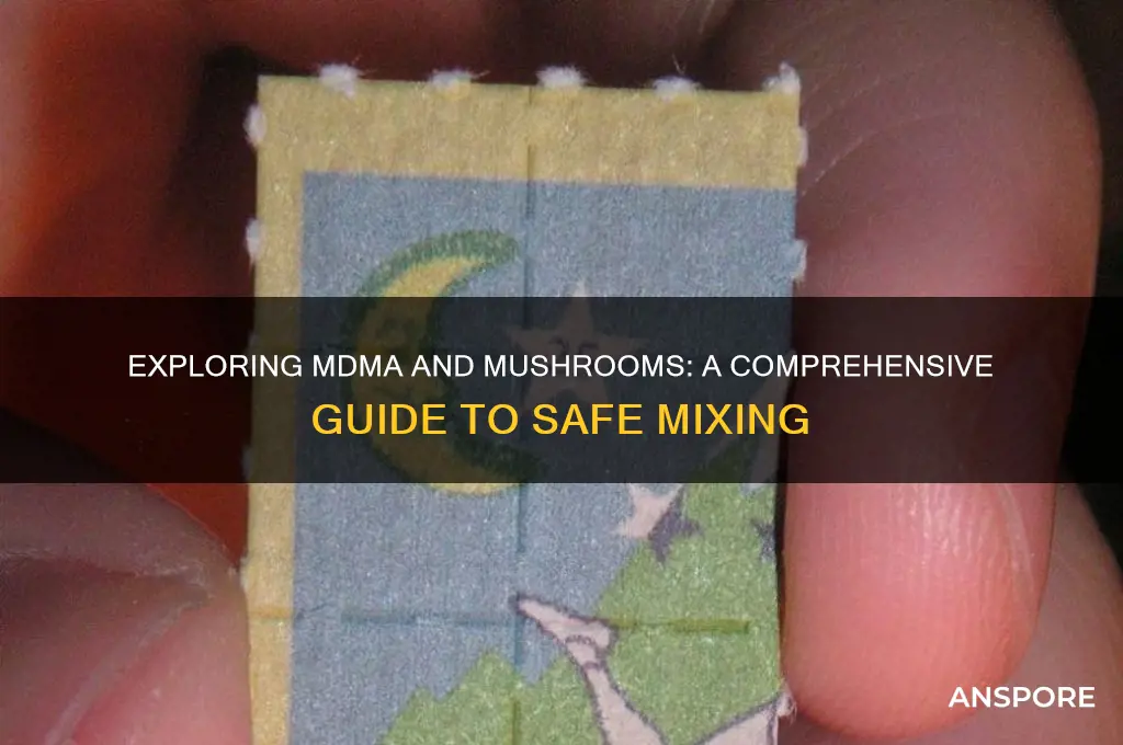 how to mix mdma and mushrooms