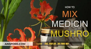 Mixing Medicinal Mushrooms: A Beginner's Guide to Custom Blends