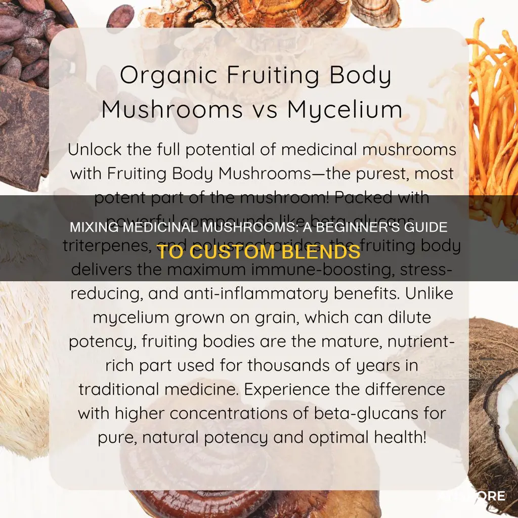 how to mix medicinal mushrooms