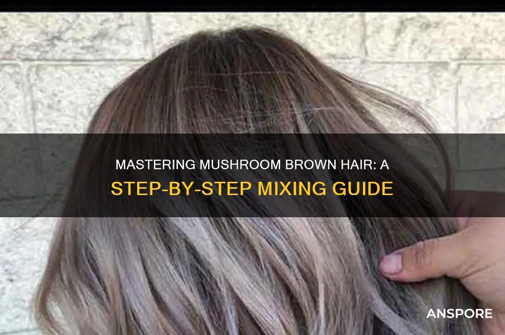 how to mix mushroom brown hair color